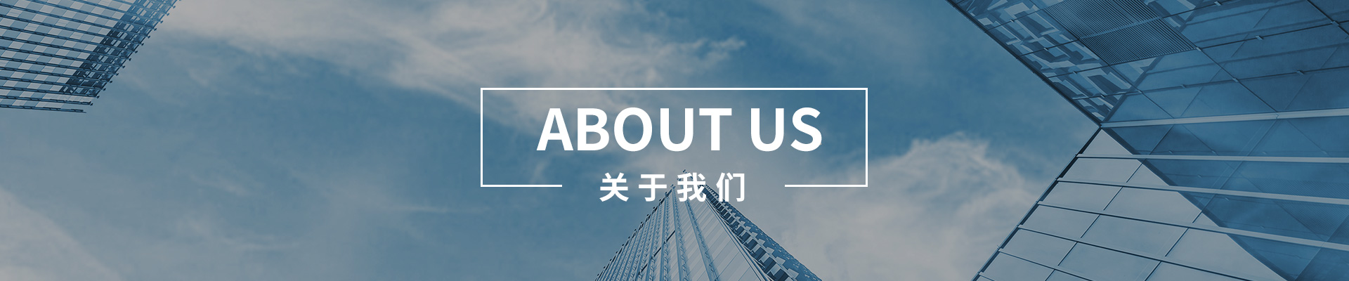 公司简介